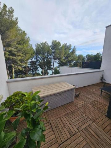 Appartement Duplex 6 pièce(s)  de 110 m2(156m2) avec jardin et terrasses sans Vis à Vis vu sur l'Etang