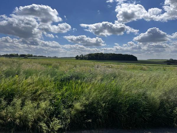 Terrain à vendre de 801,00 m² PORCHEUX (60)