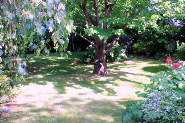 Maison familiale avec ascenseur et jardin