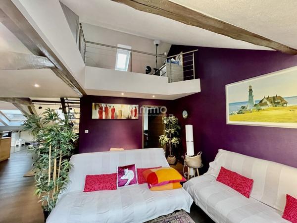 Mulhouse centre ville – Duplex – 2 chambres - 120 m2 au sol