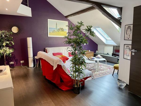 Mulhouse centre ville – Duplex – 2 chambres - 120 m2 au sol