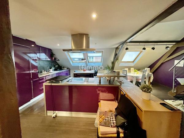 Mulhouse centre ville – Duplex – 2 chambres - 120 m2 au sol