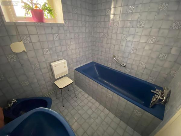 Maison à vendre à Buzançais dans l'Indre (36500), ref : 1049691