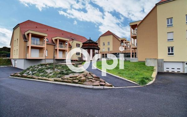 Appartement à vendre    3 pièces •  Bouxwiller