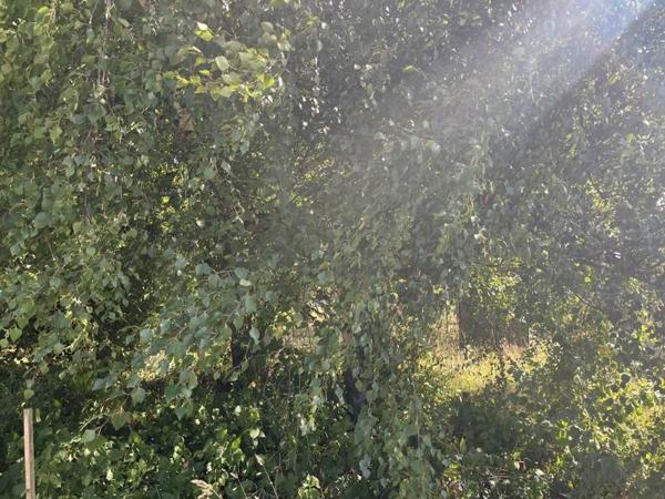 Terrain à vendre |  Romorantin-Lanthenay |  528 m²