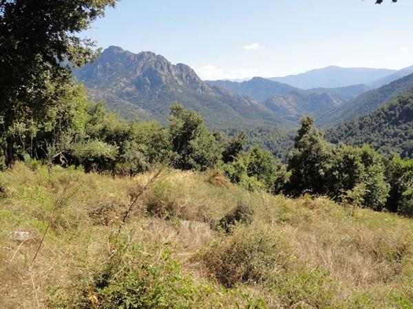 Terrain Agricole Corse du sud
