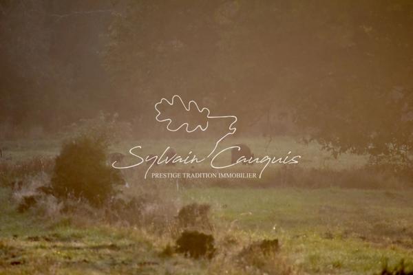 Propriété de Chasse ou d'Agrément de 180 hectares en Sologne