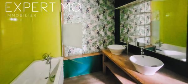 Dignac (16410) Viager libre et viager occupé pour deux maisons sur deux hectares monsieur de 79 ans bouquet 230000 € rente 9