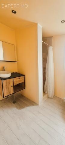 Dignac (16410) Viager libre et viager occupé pour deux maisons sur deux hectares monsieur de 79 ans bouquet 230000 € rente 9