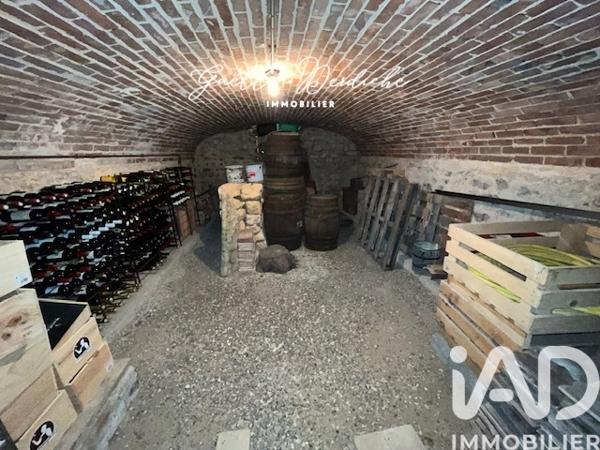 Maison à vendre 6 pièces 204 m² La Selle-sur-le-Bied