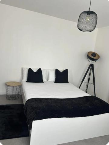 SUBLIME MAISON CONTEMPORAINE  JOUE LES TOURS (37)