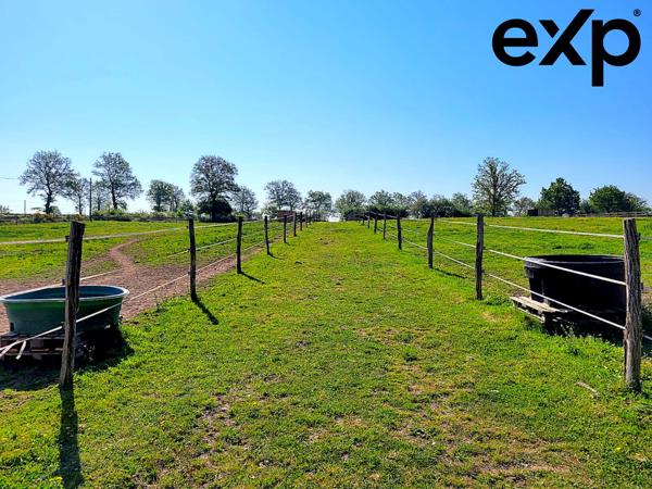 Propriété de caractère, Domaine équestre et gîte touristique au cœur de la nature