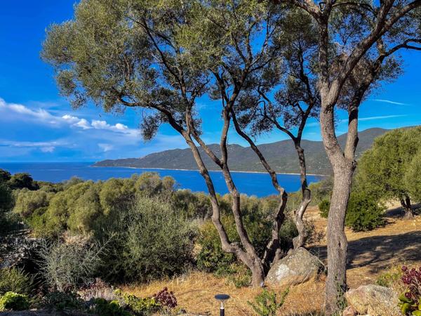 Villa à vendre 3 pièces SERRA DI FERRO (20)