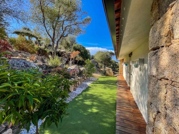 Villa à vendre 3 pièces SERRA DI FERRO (20)