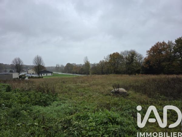 Terrain à vendre 3 500 m² Hénon