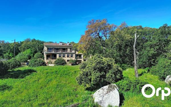 Maison à vendre    5 pièces •  Sotta