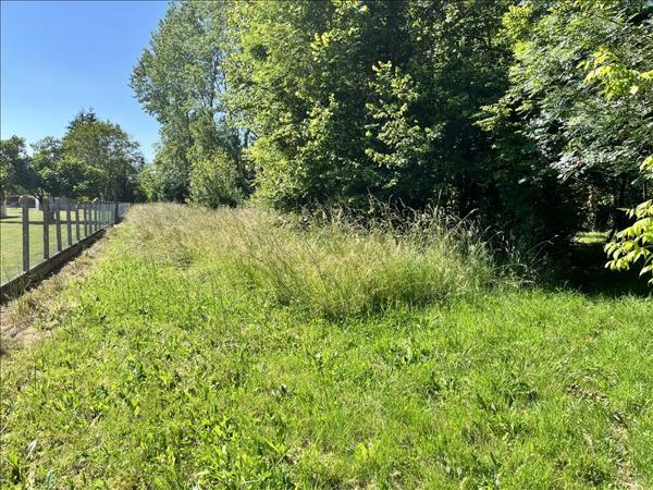 Terrain à vendre |  Montpon-Ménestérol |  66723 m²