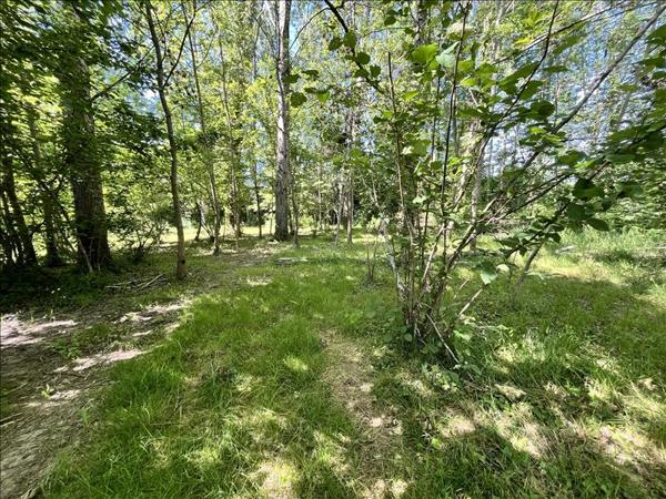 Terrain à vendre |  Montpon-Ménestérol |  66723 m²