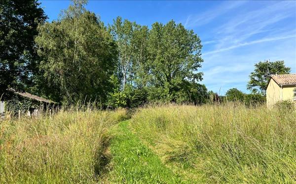 Terrain à vendre |  Montpon-Ménestérol |  66723 m²
