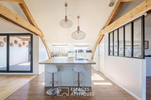 Loft sous les toits et sa terrasse privative quartier Saint-Pierre