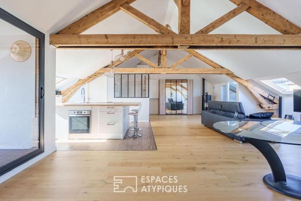 Loft sous les toits et sa terrasse privative quartier Saint-Pierre
