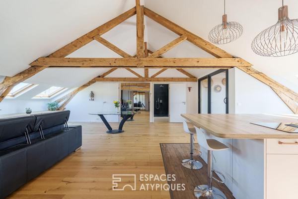 Loft sous les toits et sa terrasse privative quartier Saint-Pierre