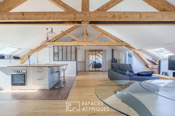 Loft sous les toits et sa terrasse privative quartier Saint-Pierre
