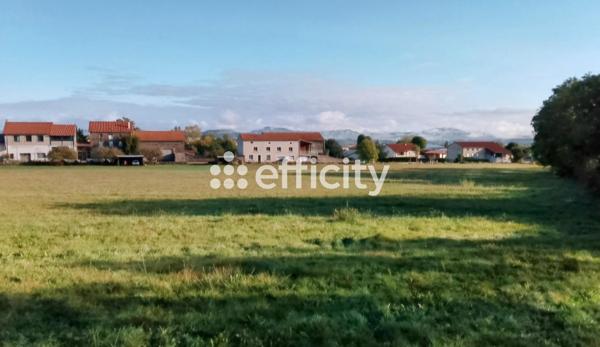 Terrain - 5120 m² Exclusivité