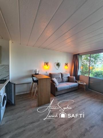 LIBRE DE BAIL + REFAIT+ CLIMATISÉ+  VENDU MEUBLÉ