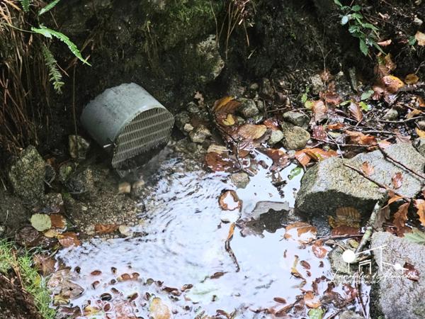 Dpt Aude (11), à vendre LES MARTYS propriete P5 de 110 m² - Terrain de 20,00 Ha -garage-source