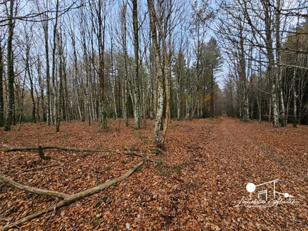 Dpt Aude (11), à vendre LES MARTYS propriete P5 de 110 m² - Terrain de 20,00 Ha -garage-source