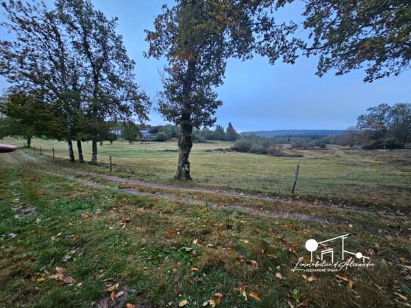 Dpt Aude (11), à vendre LES MARTYS propriete P5 de 110 m² - Terrain de 20,00 Ha -garage-source