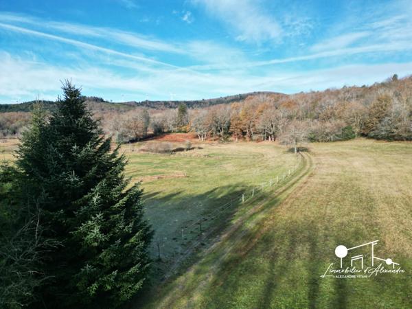 Dpt Aude (11), à vendre LES MARTYS propriete P5 de 110 m² - Terrain de 20,00 Ha -garage-source