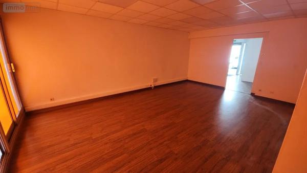 Achat - Fonds et/ou murs commerciaux Laval 53000 113 m 2 469 m 2