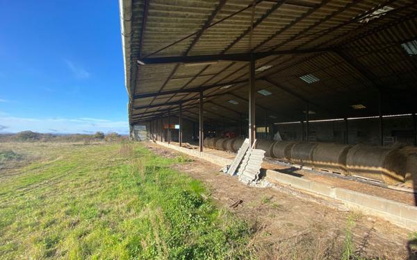 Terrain à vendre    Séreilhac