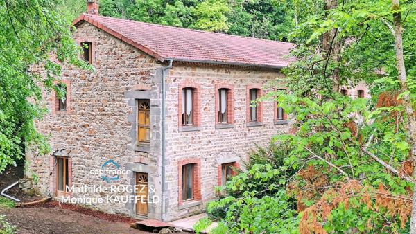 Grande demeure de charme + gîte + grand terrain - Tours-sur-Meymont
