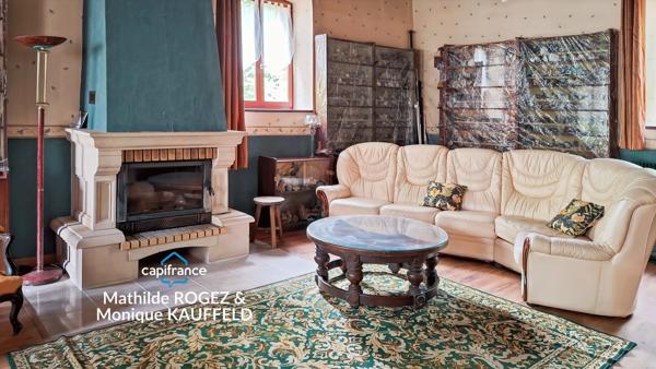 Grande demeure de charme + gîte + grand terrain - Tours-sur-Meymont