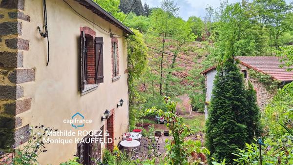 Grande demeure de charme + gîte + grand terrain - Tours-sur-Meymont
