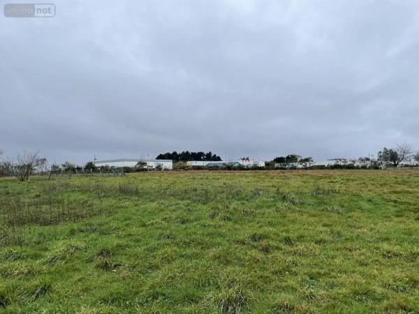 Achat - Terrain à bâtir Mauron 56430 7154 m 2