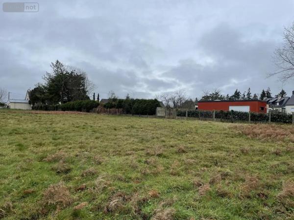 Achat - Terrain à bâtir Mauron 56430 7154 m 2
