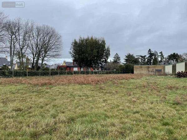 Achat - Terrain à bâtir Mauron 56430 7154 m 2