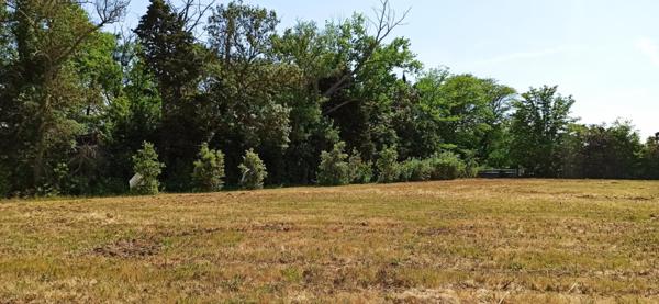 Terrain constructible à Castelnaudary  de 428 m2