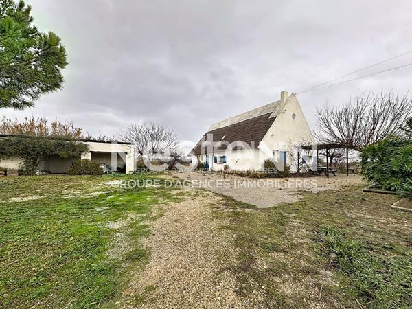 Ensemble immobilier avec deux cabanes de gardians sur parc de 1,17 ha avec piscine