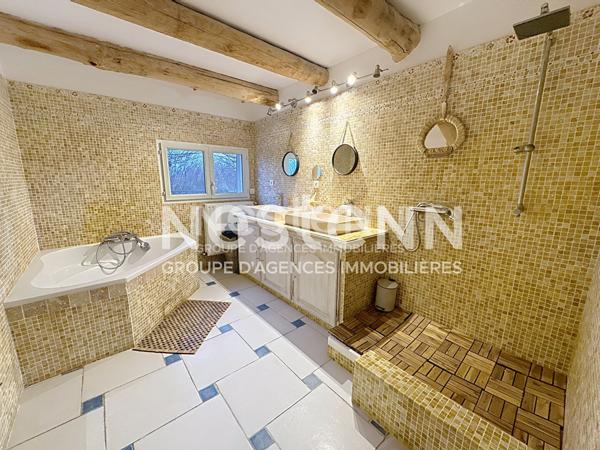 Ensemble immobilier avec deux cabanes de gardians sur parc de 1,17 ha avec piscine