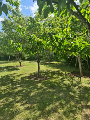 ENSEMBLE IMMOBILIER en Pierre