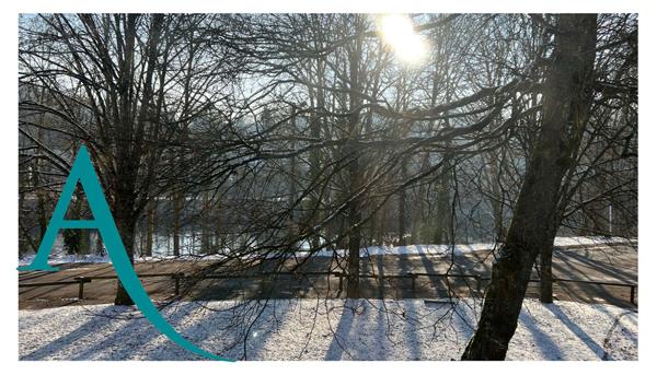 Local d'activité Epinal Sud - 145 m2 Ascenseur