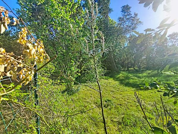 Vente terrain La Teste De Buch : 265 000 € - AJP ACTEA La Hume