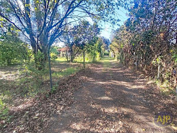 Vente terrain La Teste De Buch : 265 000 € - AJP ACTEA La Hume