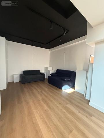 Immeuble à vendre à Angers dans le Maine-et-Loire (49100), ref : 49012-2015   
Centre