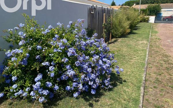 Maison à vendre    5 pièces •  Le Château-d'Oléron
